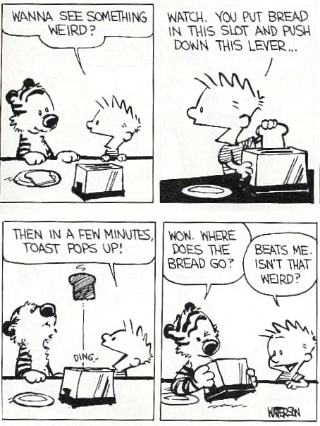 A Calvin and Hobbes comic strip where they put bread in a toaster and wonder where it goes.
